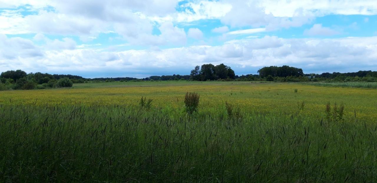 Slaaphutje Buitenwedde Westerwolde Exterior foto